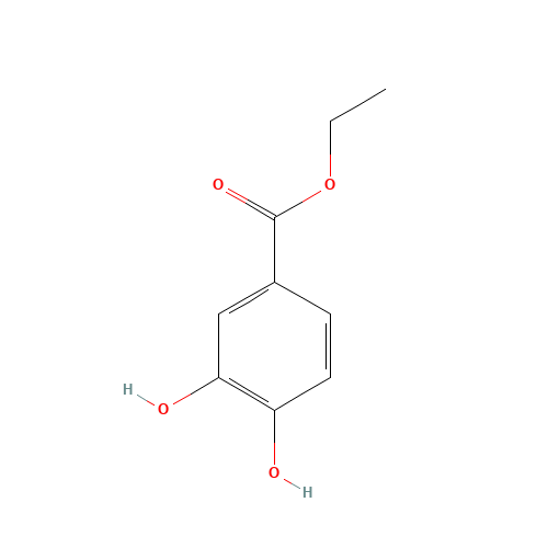 Ethyl 3,4-dihydroxybenzoate (CAS: 3943-89-3) - Related Chemical Product