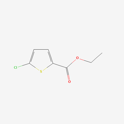 ETHYL 5-CHLOROTHIOPHENE-2-CARBOXYLATE (CAS: 5751-82-6) - Related Chemical Product
