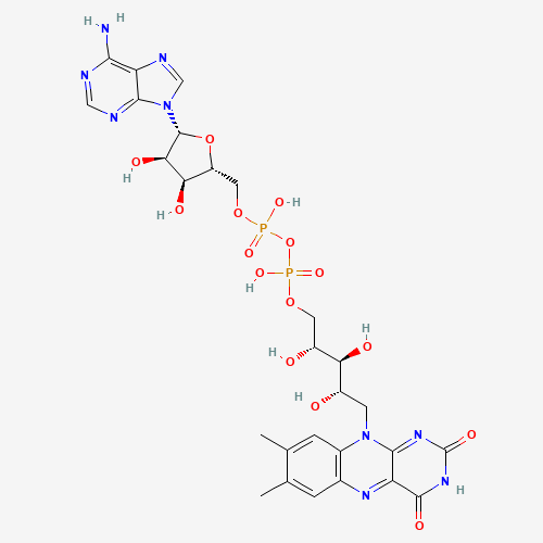 FLAVIN ADENINE DINUCLEOTIDE (CAS: 146-14-5) - Related Chemical Product