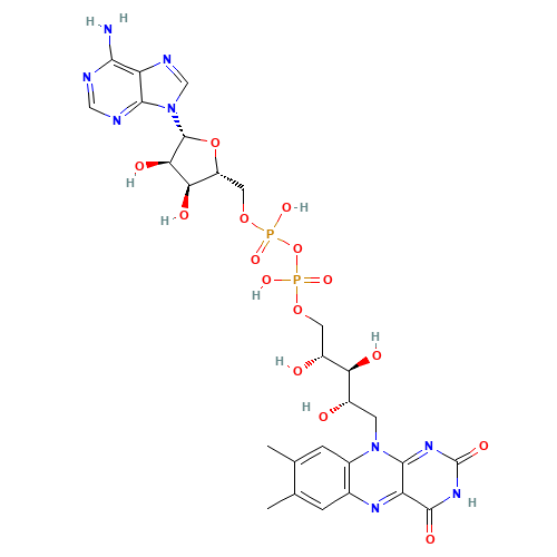 FLAVIN ADENINE DINUCLEOTIDE (CAS: 146-14-5) - Related Chemical Product