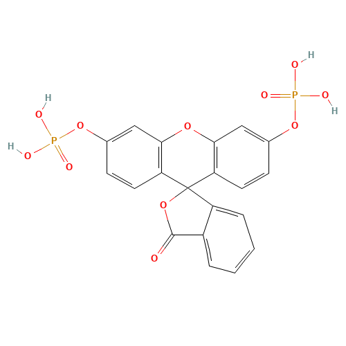 Fluorescein3,6-diphosphate (CAS: 134869-03-7) - Chemical Structure and Molecular Formula 