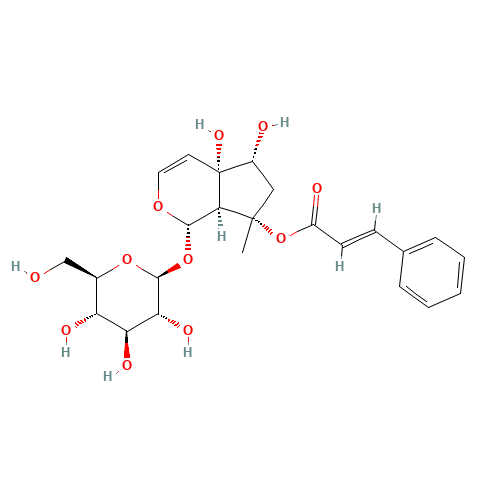 Harpagoside (CAS: 19210-12-9) - Related Chemical Product