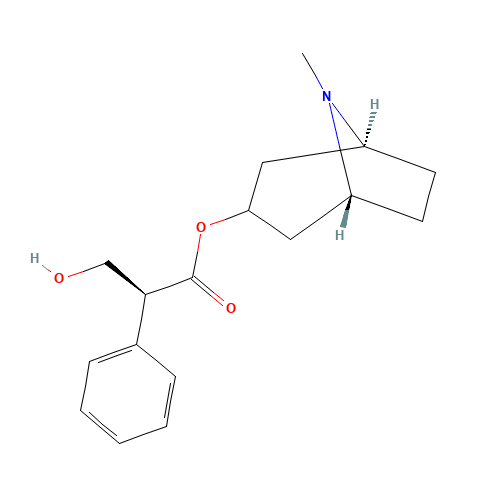 L-Hyoscyamine (CAS: 101-31-5) - Chemical Structure and Molecular Formula 