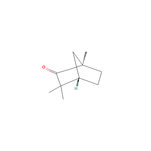 (-)-FENCHONE (CAS: 7787-20-4) - Related Chemical Product