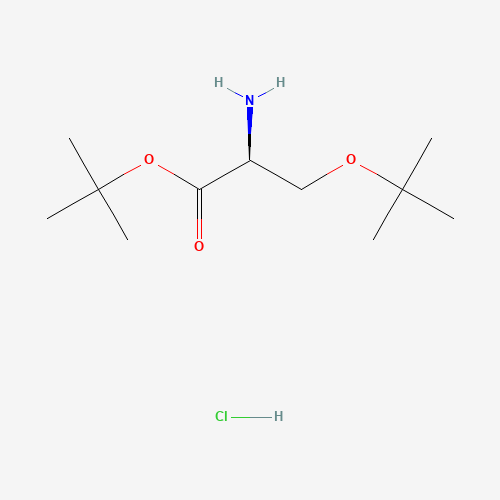 H-SER(TBU)-OTBU HCL (CAS: 51537-21-4) - Chemical Structure and Molecular Formula 