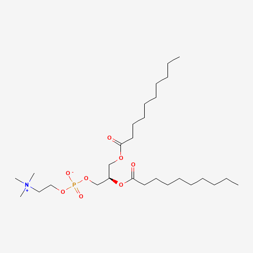 1,2-DIDECANOYL-SN-GLYCERO-3-PHOSPHOCHOLINE (CAS: 3436-44-0) - Related Chemical Product