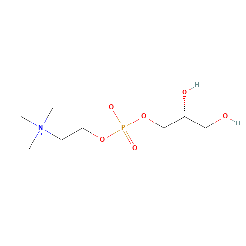 Choline glycerophosphate (CAS: 28319-77-9) - Chemical Structure and Molecular Formula 