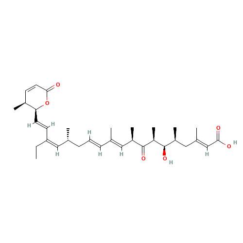 LEPTOMYCIN B FROM STREPTOMYCES SP (CAS: 87081-35-4) - Related Chemical Product