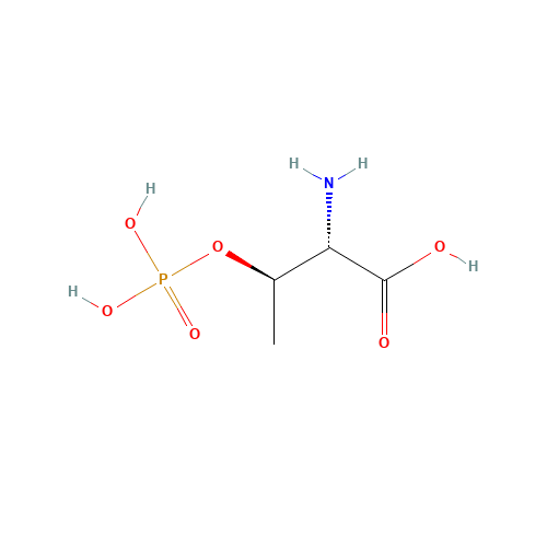 O-PHOSPHO-L-THREONINE (CAS: 1114-81-4) - Related Chemical Product