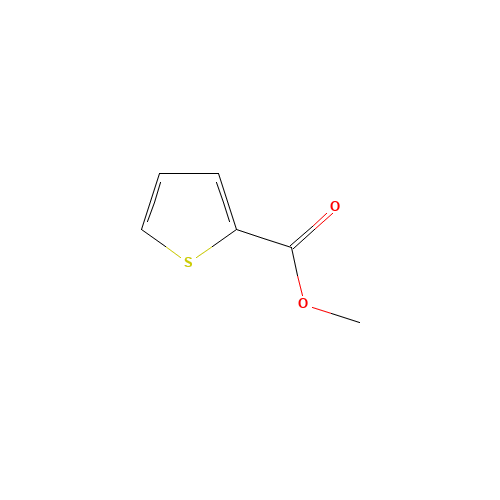 METHYL THIOPHENE-2-CARBOXYLATE (CAS: 5380-42-7) - Related Chemical Product