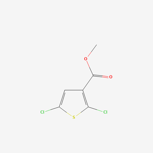 METHYL 2,5-DICHLOROTHIOPHENE-3-CARBOXYLATE (CAS: 145129-54-0) - Related Chemical Product