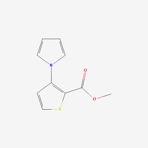 METHYL 3-(1-PYRROLO)THIOPHENE-2-CARBOXYLATE (CAS: 74772-16-0) - Chemical Structure and Molecular Formula 