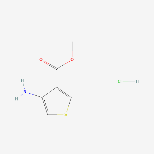 METHYL 3-AMINOTHIOPHENE-4-CARBOXYLATE HYDROCHLORIDE (CAS: 39978-14-8) - Related Chemical Product