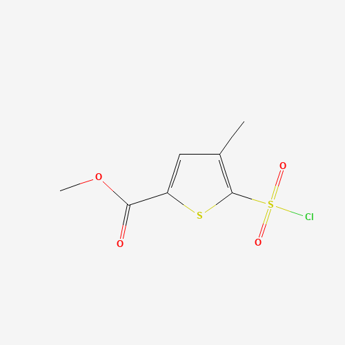 METHYL 5-(CHLOROSULFONYL)-4-METHYL-2-THIOPHENECARBOXYLATE (CAS: 423768-46-1) - Related Chemical Product