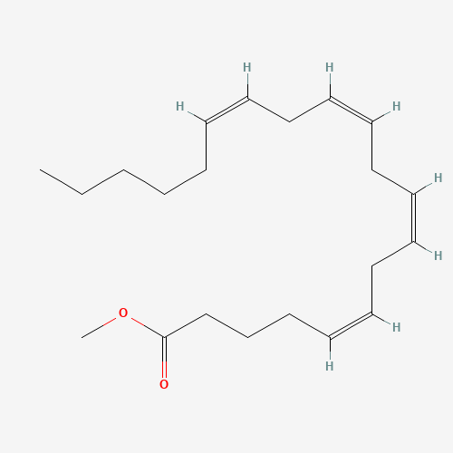 METHYL ARACHIDONATE (CAS: 2566-89-4) - Chemical Structure and Molecular Formula 