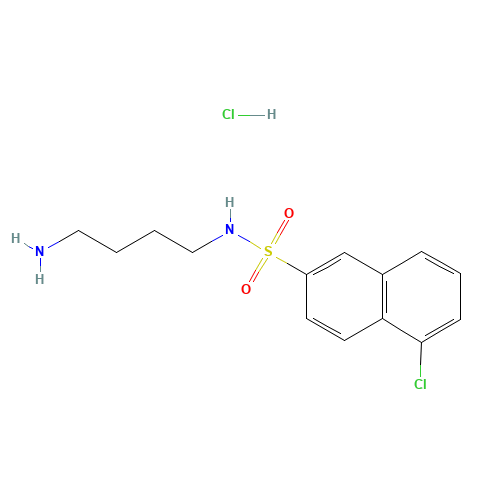 N-(4-AMINOBUTYL)-5-CHLORO-2-NAPHTHALENESULFONAMIDE HYDROCHLORIDE (CAS: 88519-57-7) - Related Chemical Product