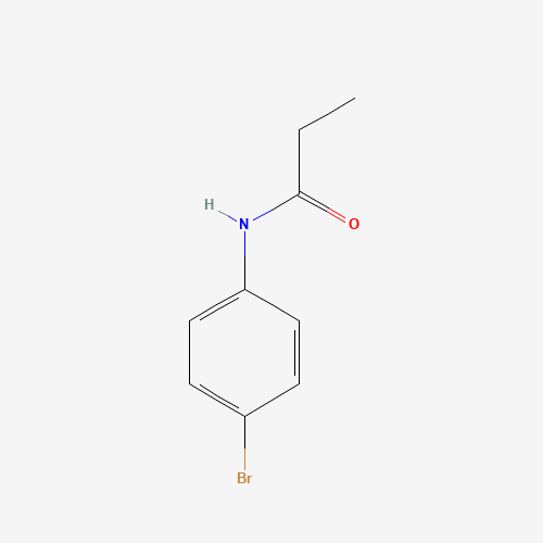 N-(4-BROMOPHENYL)PROPIONAMIDE (CAS: 2760-35-2) - Related Chemical Product
