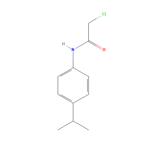 N1-(4-ISOPROPYLPHENYL)-2-CHLOROACETAMIDE (CAS: 1527-61-3) - Chemical Structure and Molecular Formula 