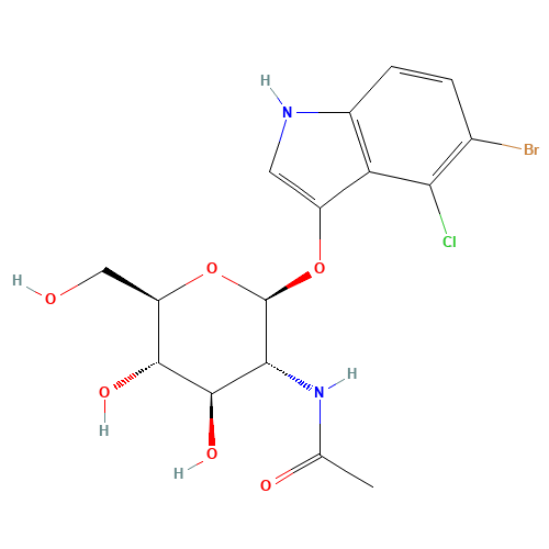 5-Bromo-4-chloro-3-indolyl-N-acetyl-beta-D-glucosaminide (CAS: 4264-82-8) - Related Chemical Product