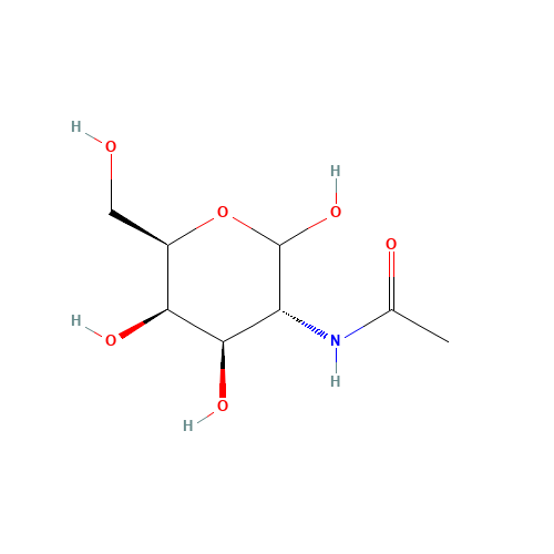 N-Acetyl-D-galactosamine (CAS: 14215-68-0) - Related Chemical Product