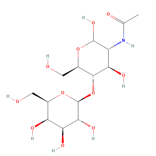 N-ACETYLLACTOSAMINE (CAS: 32181-59-2) - Related Chemical Product