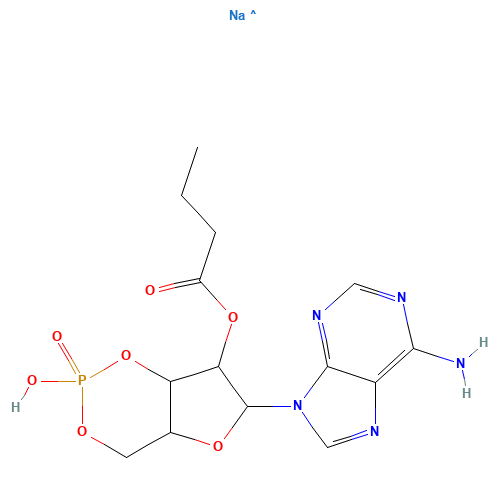 2'-O-MB-CAMP SODIUM SALT (CAS: 55443-13-5) - Related Chemical Product
