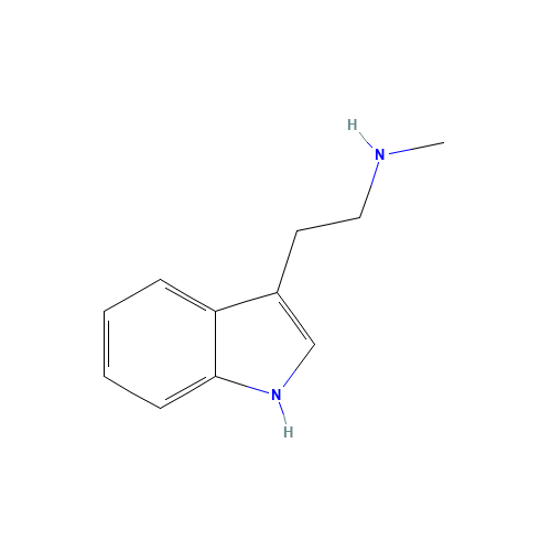 3-(2-Methylaminoethyl)indole (CAS: 61-49-4) - Related Chemical Product