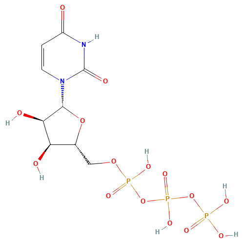UTP (CAS: 63-39-8) - Related Chemical Product
