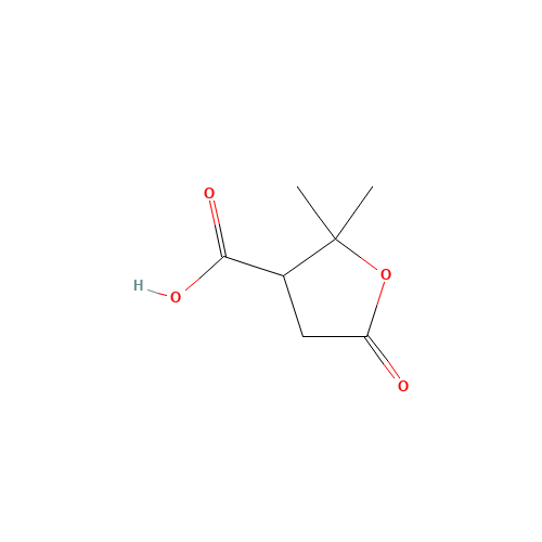 TEREBIC ACID (CAS: 79-91-4) - Related Chemical Product