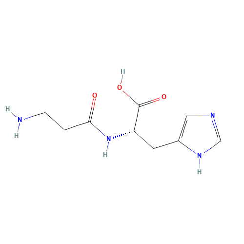 L-Carnosine (CAS: 305-84-0) - Chemical Structure and Molecular Formula 