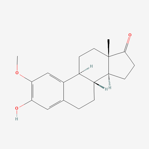 2-METHOXYESTRONE (CAS: 362-08-3) - Related Chemical Product