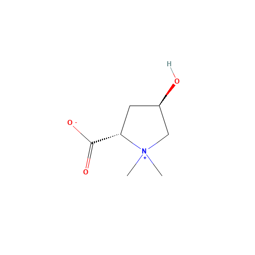 BETONICINE (CAS: 515-25-3) - Related Chemical Product
