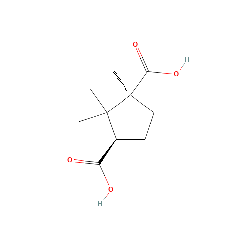 (1S,3R)-1,2,2-TRIMETHYL-1,3-CYCLOPENTANEDICARBOXYLIC ACID (CAS: 560-09-8) - Chemical Structure and Molecular Formula 