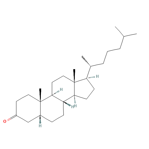 5BETA-CHOLESTAN-3-ONE (CAS: 601-53-6) - Related Chemical Product