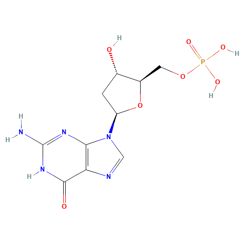 2'-DEOXYGUANOSINE 5'-MONOPHOSPHATE (CAS: 902-04-5) - Related Chemical Product