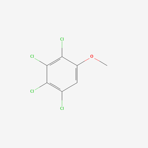 2,3,4,5-TETRACHLOROANISOLE (CAS: 938-86-3) - Related Chemical Product