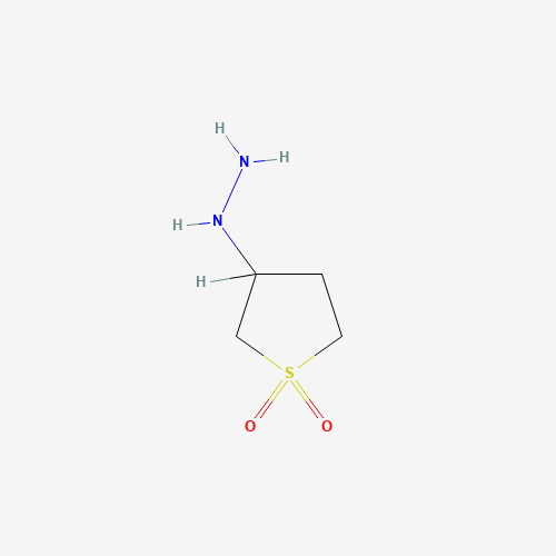 (1,1-DIOXIDOTETRAHYDROTHIEN-3-YL)HYDRAZINE (CAS: 3448-12-2) - Related Chemical Product