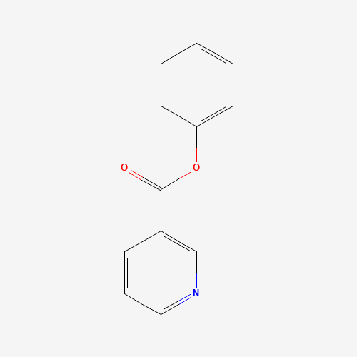 PHENYL NICOTINATE (CAS: 3468-53-9) - Related Chemical Product