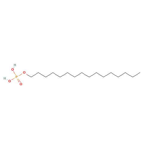 AMPHISOL A (CAS: 3539-43-3) - Related Chemical Product