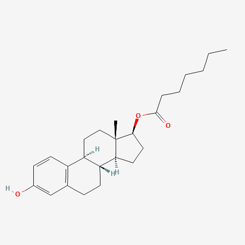 Oestradiol 17-heptanoate (CAS: 4956-37-0) - Related Chemical Product
