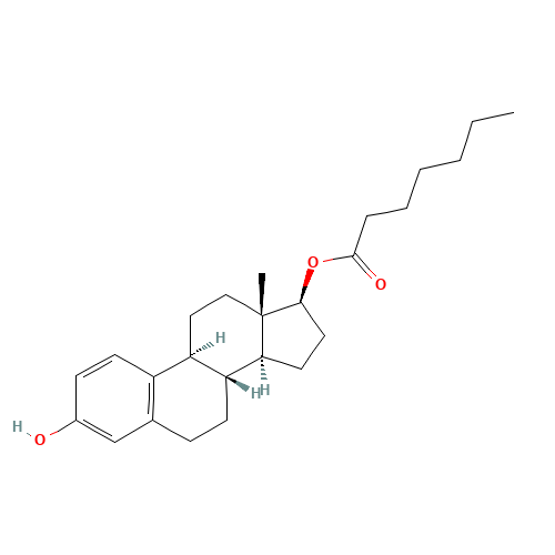 Oestradiol 17-heptanoate (CAS: 4956-37-0) - Chemical Structure and Molecular Formula 