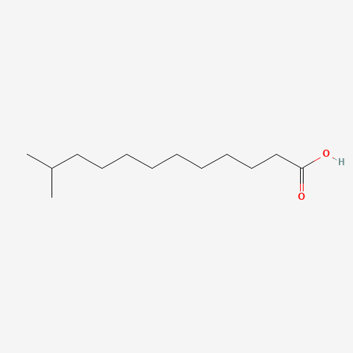 11-METHYLDODECANOIC ACID (CAS: 5681-98-1) - Related Chemical Product