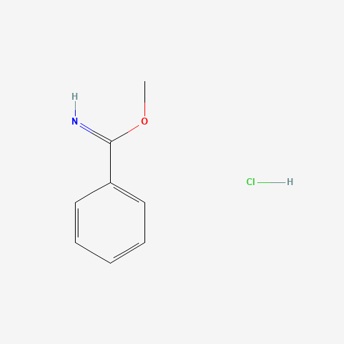 METHYL BENZIMIDATE HYDROCHLORIDE (CAS: 5873-90-5) - Related Chemical Product