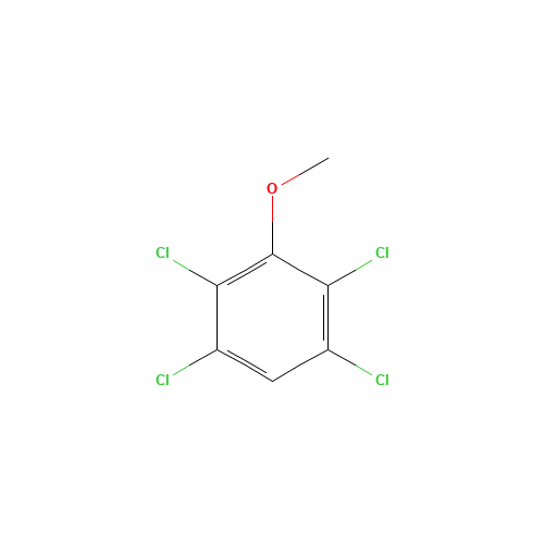 2,3,5,6-TETRACHLOROANISOLE (CAS: 6936-40-9) - Related Chemical Product