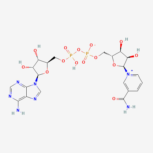 ALPHA-DIPHOSPHOPYRIDINE NUCLEOTIDE (CAS: 7298-93-3) - Related Chemical Product
