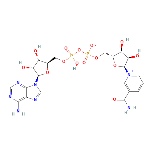 ALPHA-DIPHOSPHOPYRIDINE NUCLEOTIDE (CAS: 7298-93-3) - Related Chemical Product