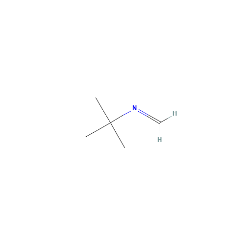 TERT-BUTYLAZOMETHINE (CAS: 13987-61-6) - Related Chemical Product