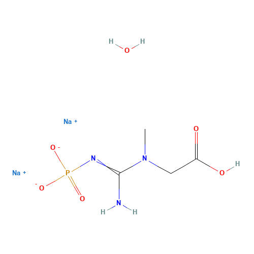 CREATINE PHOSPHATE DISODIUM SALT HEXAHYDRATE (CAS: 19333-65-4) - Related Chemical Product