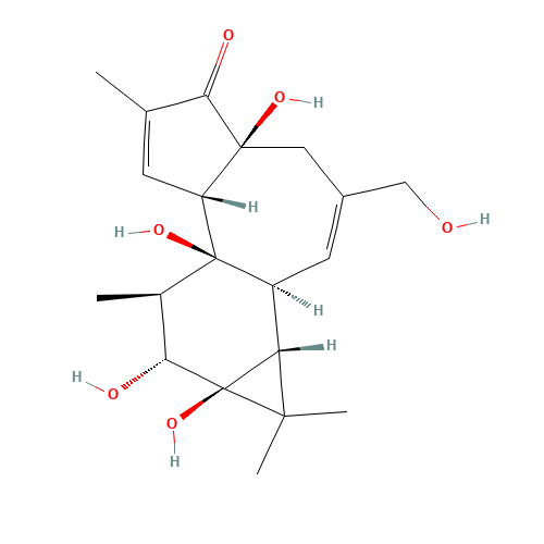 4ALPHA-PHORBOL (CAS: 26241-63-4) - Related Chemical Product