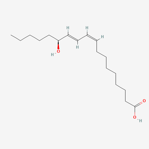 13(S)-HYDROXYOCTADECA-9Z,11E-DIENOIC ACID (CAS: 29623-28-7) - Related Chemical Product